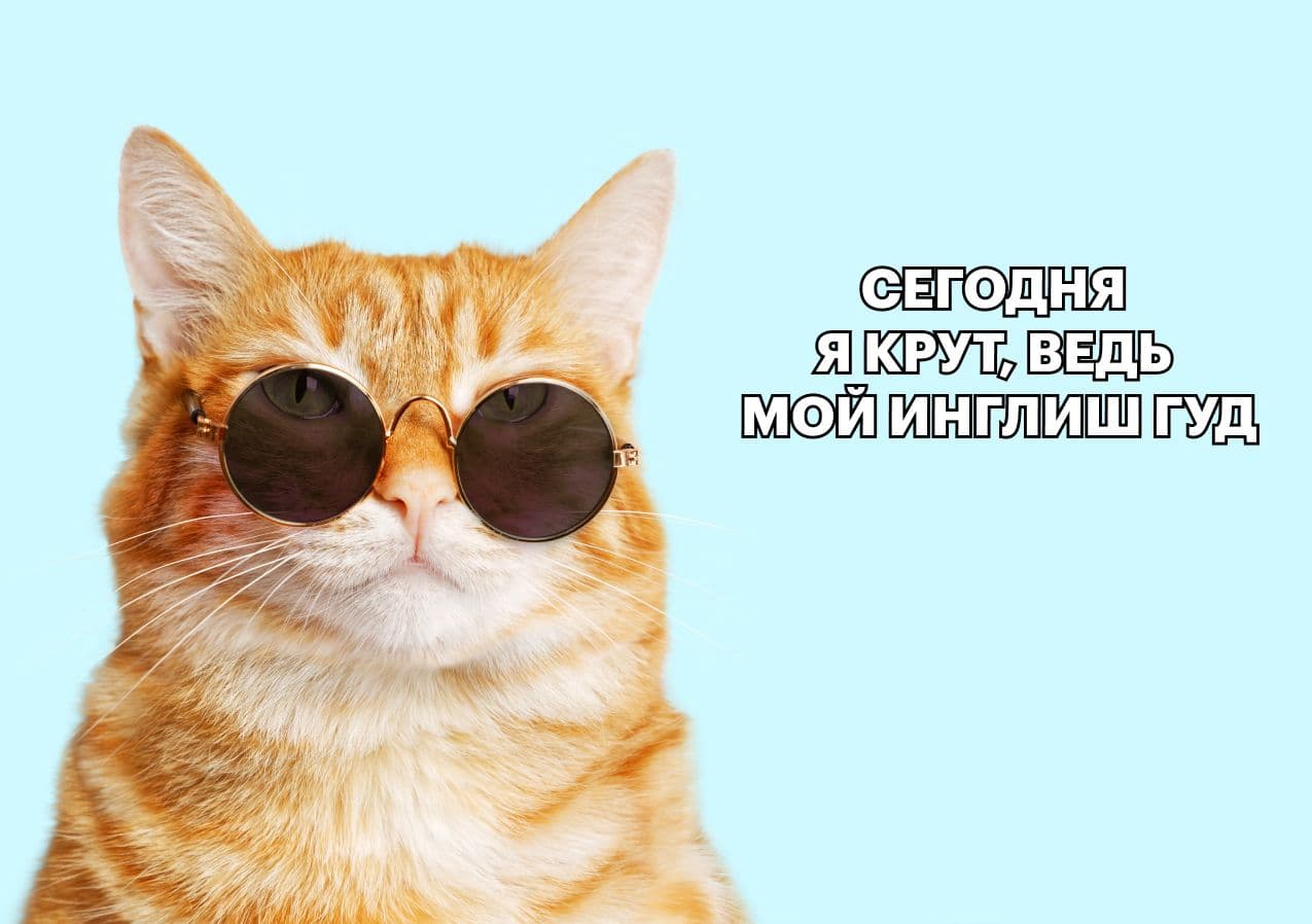 Картинка к статье